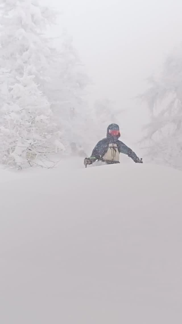 Day Dream in Prali Ski Area 😛🤩
.
.
.
#freerideskiing