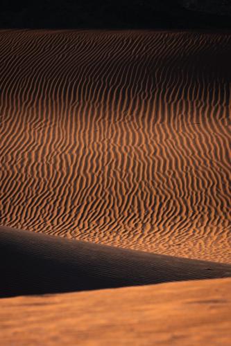 Desert Beauty Dune